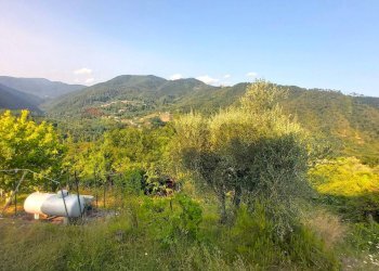 Vista delle montagne - Casa indipendente Beverino - foto 29