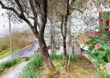 Giardino - Casa indipendente Beverino - foto 35