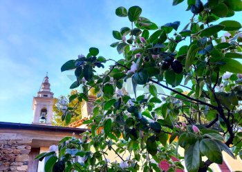 Dettagli - Casa semi indipendente Via Roma
 
77, Carro - foto 28