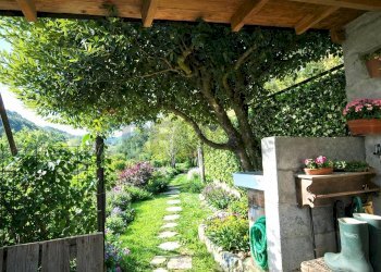 Giardino - Casa indipendente Via Ferriere
 
snc, Carrodano - foto 16