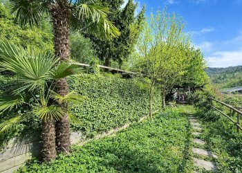 Giardino - Casa indipendente Via Ferriere
 
snc, Carrodano - foto 19