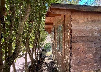 Giardino - Casa indipendente Via Ferriere
 
snc, Carrodano - foto 21