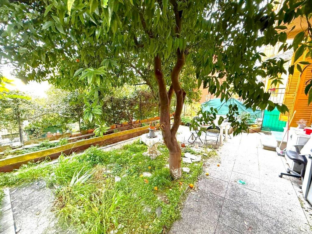 Giardino - Quadrilocale via Ernesto Cabruna, frazione Quinto Al Mare, Genova - foto 2
