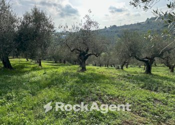 Terreno edificabile via Boccaccio, 4, Moscufo - foto 20