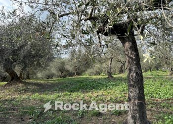 Terreno edificabile via Boccaccio, 4, Moscufo - foto 27