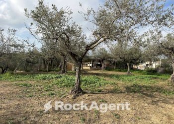 Terreno edificabile via Boccaccio, 4, Moscufo - foto 31