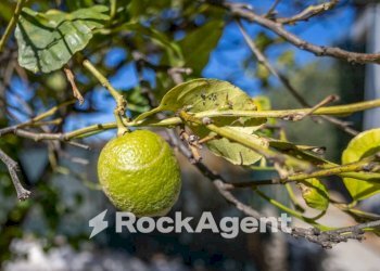 Two-room apartment strada Crocifisso, 6, Bari - photo 12