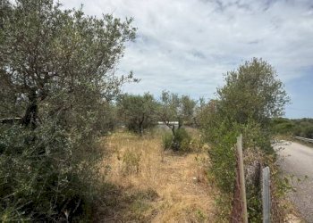 Magazzino SV Li Curuneddi Tronco A, Sassari - foto 6