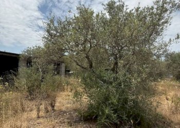 Magazzino SV Li Curuneddi Tronco A, Sassari - foto 8