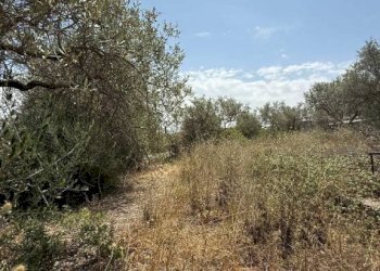 Magazzino SV Li Curuneddi Tronco A, Sassari - foto 9