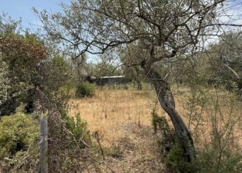 Magazzino SV Li Curuneddi Tronco A, Sassari - foto 10