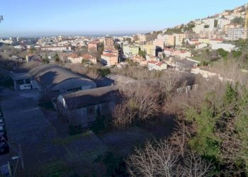 Vista - Capannone via Guido Grimani, 42, Trieste - foto 8