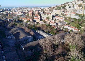 Vista - Capannone via Guido Grimani, 42, Trieste - foto 11