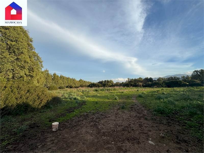 Agricultural land Guspini - photo 1