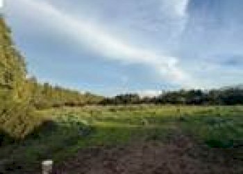 Agricultural land Guspini - photo 2