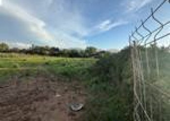 Agricultural land Guspini - photo 6