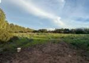 Agricultural land Guspini - photo 7