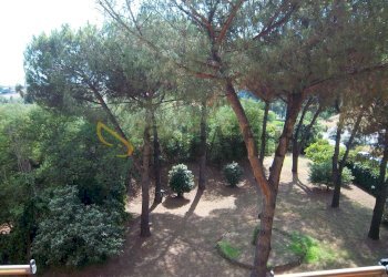 100_0084.JPG - Appartamento Via Mario Rossi Tancredi, Roma - foto 26