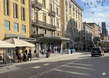 FIORAIO (1).png - Piante e Fiori Via dell'Indipendenza 2, Bologna (zona Centro Storico) - foto 2