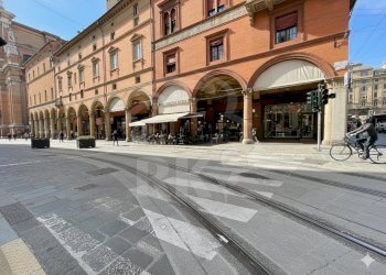 FIORAIO (15).png - Piante e Fiori Via dell'Indipendenza 2, Bologna (zona Centro Storico) - foto 5