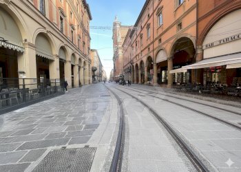 FIORAIO (17).png - Piante e Fiori Via dell'Indipendenza 2, Bologna (zona Centro Storico) - foto 7