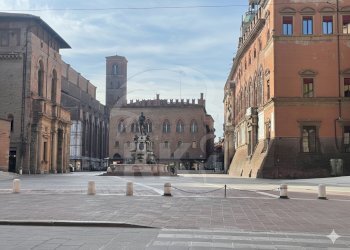 FIORAIO (19).png - Piante e Fiori Via dell'Indipendenza 2, Bologna (zona Centro Storico) - foto 9