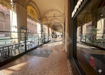 FIORAIO (21).png - Piante e Fiori Via dell'Indipendenza 2, Bologna (zona Centro Storico) - foto 11