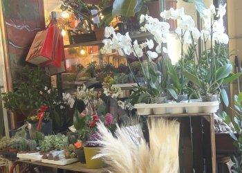 FIORAIO (14).png - Piante e Fiori Via dell'Indipendenza 2, Bologna (zona Centro Storico) - foto 18