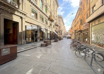 FIORAIO (16).png - Piante e Fiori Via dell'Indipendenza 2, Bologna (zona Centro Storico) - foto 20