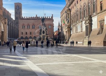 FIORAIO (20).png - Piante e Fiori Via dell'Indipendenza 2, Bologna (zona Centro Storico) - foto 24