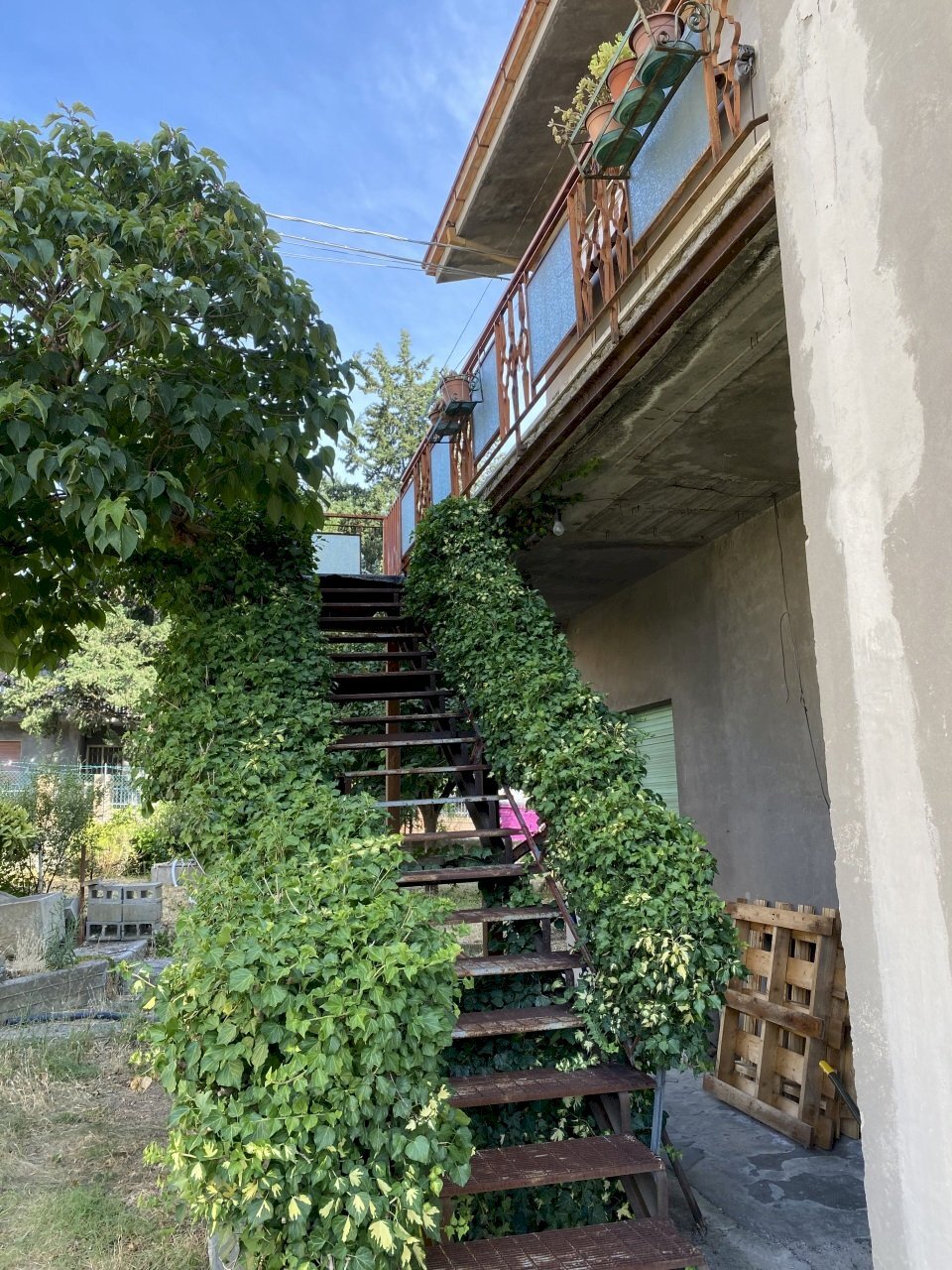 IMG-3804.jpg - Appartamento Via Montefeltro, Novafeltria - foto 1