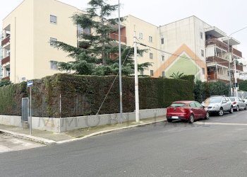 IMG_1083.jpg - Quadrilocale via carlo ferrari, Monopoli - foto 3