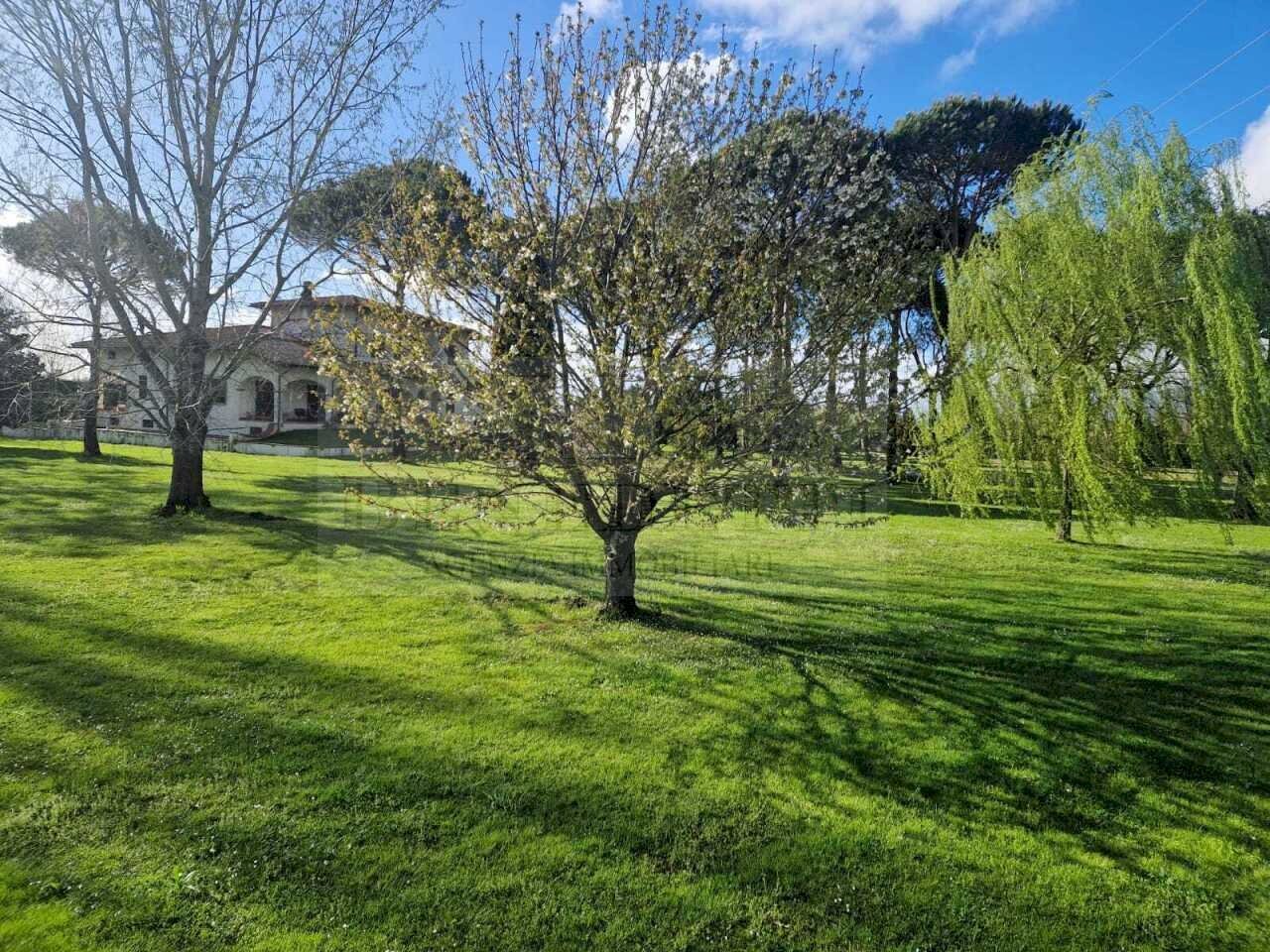 WhatsApp Image 2026-02-06 at 12.15.44.jpeg - Villa Pietrasanta - foto 3