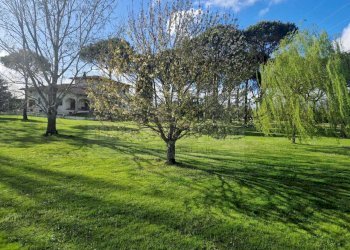 WhatsApp Image 2026-02-06 at 12.15.44.jpeg - Villa Pietrasanta - foto 3