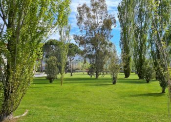 WhatsApp Image 2026-02-06 at 12.15.45 (4).jpeg - Villa Pietrasanta - foto 4