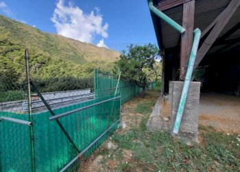 Immagine WhatsApp 2025-07-21 ore 11.26.52_d5fc6cdb - Terreno agricolo Via Nazionale 20, Airole - foto 5