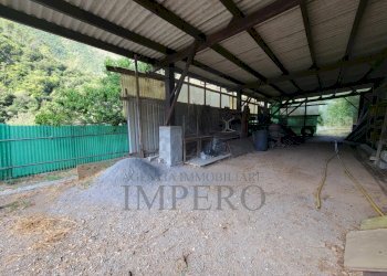 Immagine WhatsApp 2025-07-21 ore 11.26.53_1b1dd428 - Terreno agricolo Via Nazionale 20, Airole - foto 6
