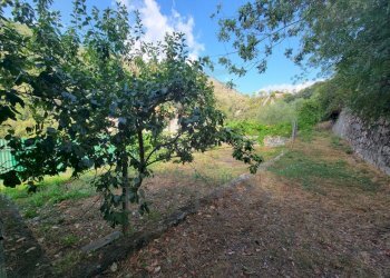 Immagine WhatsApp 2025-07-21 ore 11.26.54_4a870bde - Terreno agricolo Via Nazionale 20, Airole - foto 8
