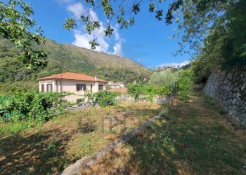 Immagine WhatsApp 2025-07-21 ore 11.26.54_29c9cb03 - Terreno agricolo Via Nazionale 20, Airole - foto 11