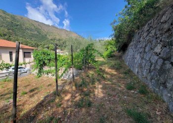 Immagine WhatsApp 2025-07-21 ore 11.26.54_5275af11 - Terreno agricolo Via Nazionale 20, Airole - foto 13