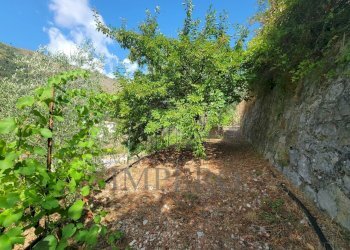 Immagine WhatsApp 2025-07-21 ore 11.26.54_fc24e613 - Terreno agricolo Via Nazionale 20, Airole - foto 14
