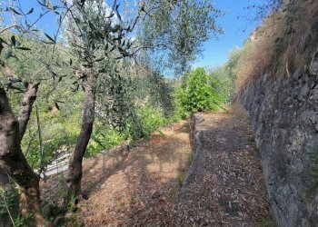 Immagine WhatsApp 2025-07-21 ore 11.26.55_7da35c3e - Terreno agricolo Via Nazionale 20, Airole - foto 15
