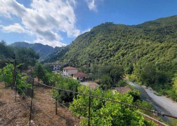 Immagine WhatsApp 2025-07-21 ore 11.26.55_5254a3f9 - Terreno agricolo Via Nazionale 20, Airole - foto 16