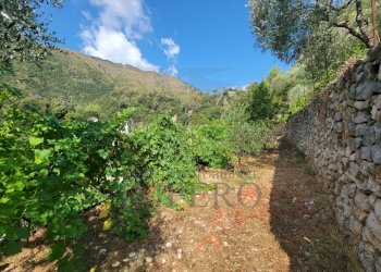 Immagine WhatsApp 2025-07-21 ore 11.26.55_fc4c47b5 - Terreno agricolo Via Nazionale 20, Airole - foto 19