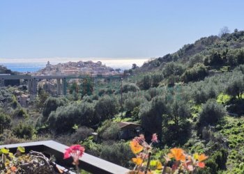 20260217_122255.jpg - Appartamento Frazione Artallo 1, Imperia - foto 1