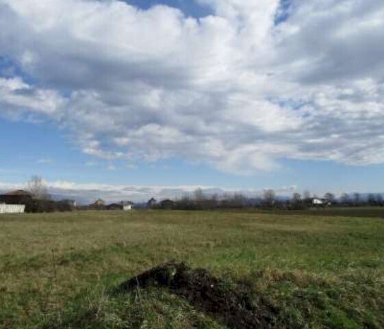 3.jpg - Terreno edificabile all'asta Strada Vecchia di Novi snc, Sale - foto 2