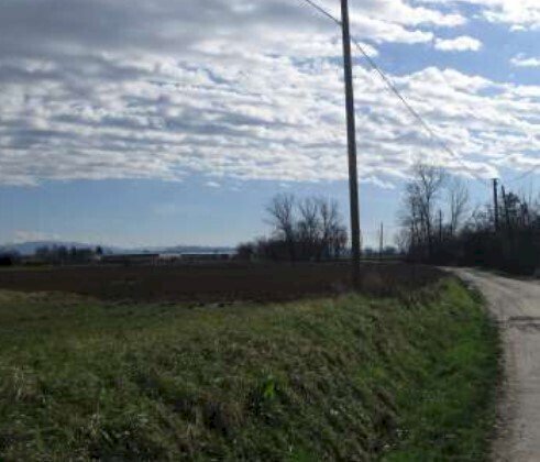 4.jpg - Terreno edificabile all'asta Strada Vecchia di Novi snc, Sale - foto 3