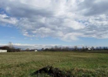 3.jpg - Terreno edificabile all'asta Strada Vecchia di Novi snc, Sale - foto 2