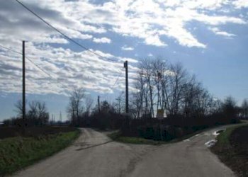 6.jpg - Terreno edificabile all'asta Strada Vecchia di Novi snc, Sale - foto 5