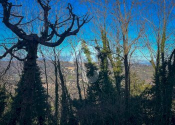 BBFD8600-EB3A-4B4B-A38F-0980DFE0189F.jpeg - Bilocale Maiolati Spontini - foto 5